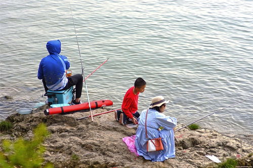 杏壇西登水角海灘親子釣魚(yú)記 水天一色間的溫情時(shí)光